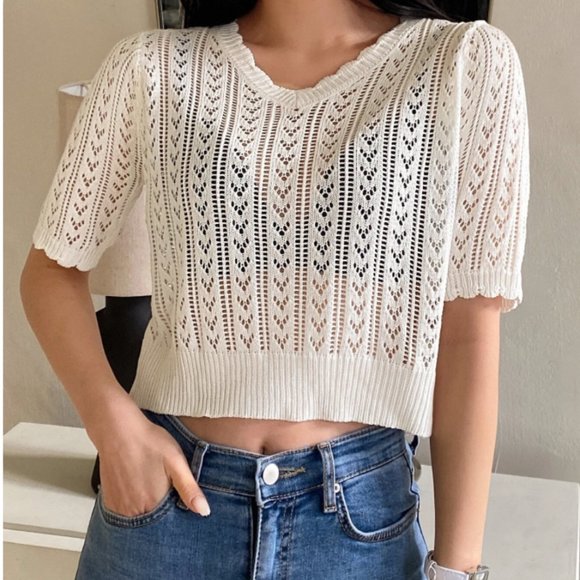 Scallop Trim Crop Pointelle Knit Top - Picture 1 of 4